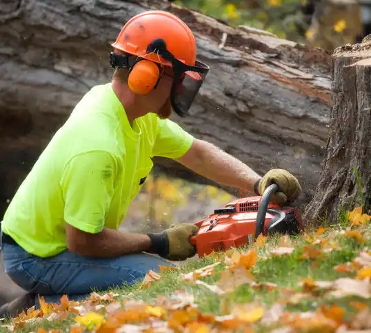 tree services East Bend